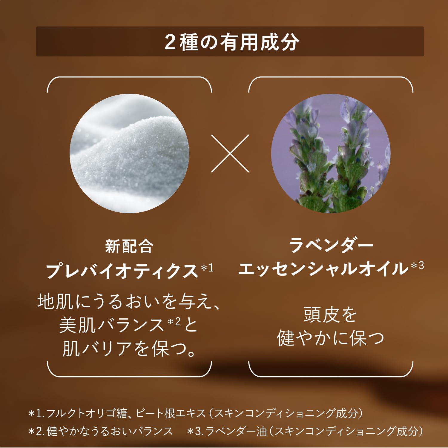 Amazon.co.jp: ロクシタン(L'OCCITANE) バランシング (シャンプー